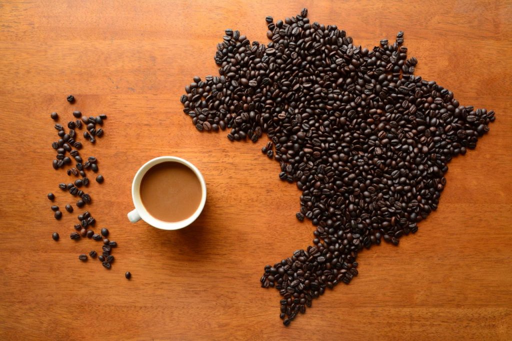dünya kahveleri, kahve çekirdeği çeşitleri