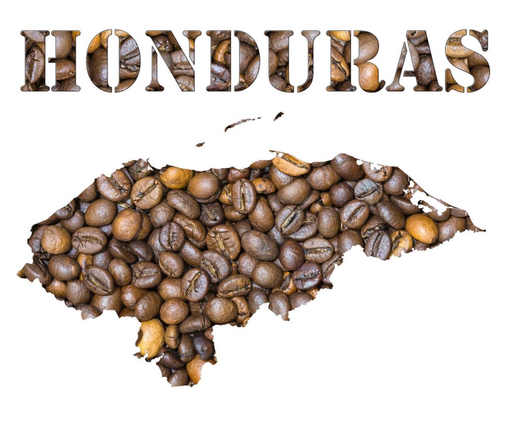 dünya kahveleri, honduras kahvesi, kahve çekirdeği çeşitleri